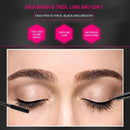 Yanqina Black Liquid Eyeliner + 3d Mascara (2 In 1)